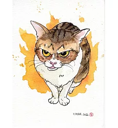 【玲廊滿藝】宮原千佳子（Chika）-臭臉也可愛18x13cm