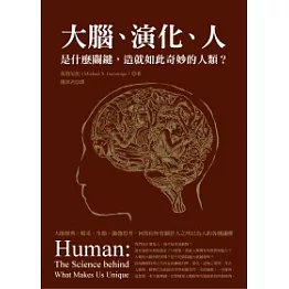 大腦、演化、人：是什麼關鍵，造就如此奇妙的人類？