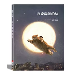 夜晚奔馳的貓