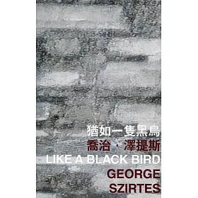 猶如一隻黑鳥
