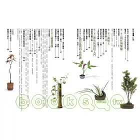 博客來 野草盆栽