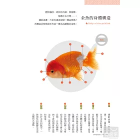 博客來 金魚要這樣養