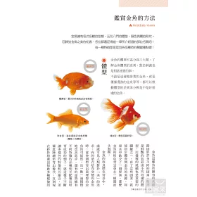 博客來 金魚要這樣養