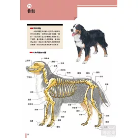 博客來 犬學大百科 圖解完整版 一看就懂 終身受用的狗狗基礎科學