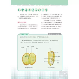 博客來 零失敗種子栽培全學習播種 採種 育種圖解入門