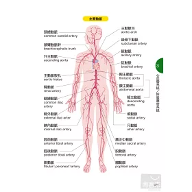 博客來 人體解剖生理學速查事典 醫護人員實用夥伴 個人最佳通識讀物