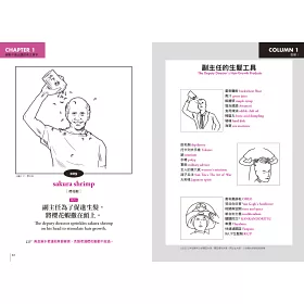博客來 偽英語教科書 全民英檢不會考 學校老師不敢教 背了也說不出口的單字 片語