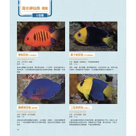 博客來 給新手的海水魚飼養指南