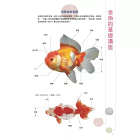 博客來 給新手的金魚鑑賞ｘ飼養指南
