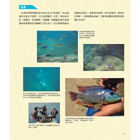博客來 給新手的熱帶魚飼育指南