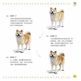 博客來 狗狗繪 汪星人の色鉛筆手繪練習本