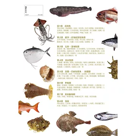 博客來 守護大自然 配角海鮮食用圖鑑 環保意識者 海洋生物愛好者 料理職人最佳參考教材