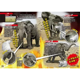 博客來 動物最強王圖鑑