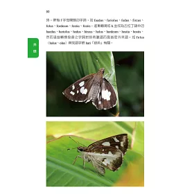 博客來 臺灣蝴蝶拉丁學名考釋