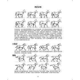 博客來 動物素描 享譽半世紀 暢銷全球的經典教程 從觀察 操作 訣竅 到風格應用的完備技法