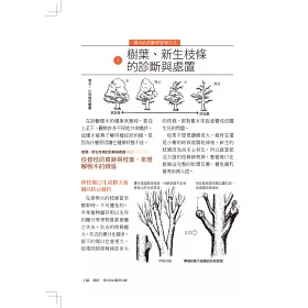 博客來 圖解樹木的診斷與治療 增訂版 愛樹 種樹 養樹 醫樹 請先讀懂樹的語言 了解樹的心聲 二版