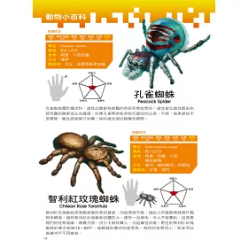博客來 ｘ萬獸探險隊 1 最強刺客虎頭蜂vs黑寡婦蜘蛛 附學習單
