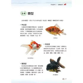 博客來 金魚事典 從認識 飼養到觀賞 寵物金魚的綺麗圖鑑