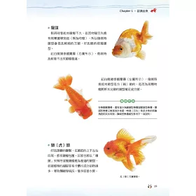 博客來 金魚事典 從認識 飼養到觀賞 寵物金魚的綺麗圖鑑