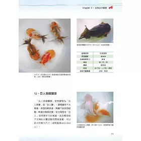 博客來 金魚事典 從認識 飼養到觀賞 寵物金魚的綺麗圖鑑