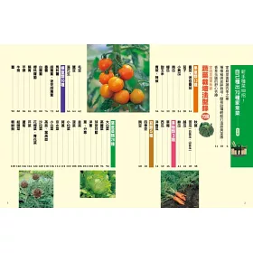 博客來 新手種菜100招 自己種出70種家常菜
