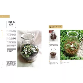 博客來 水耕盆栽超好養 無土不招蟲 加水就能活 輕鬆打造室內綠意