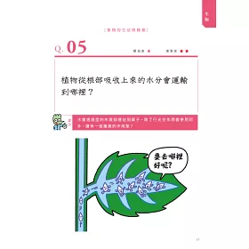 博客來 神解 一點就通 中學理科拿高分 中小學生必備 了解 關鍵知識 就能記住不忘 輕鬆攻略生物 化學 物理 地科 激發科學好潛力