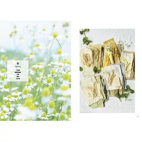 博客來 Veriteco植物染的春 夏 秋 冬 摘採大自然四季收穫的植物作為染材 感受瀨戶內海島嶼氣息的染布日常