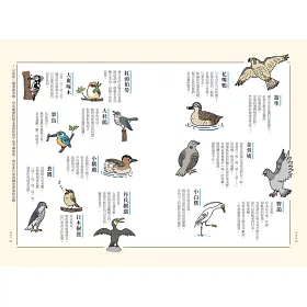 博客來 和路邊的野鳥做朋友 超萌四格漫畫 帶你亂入很有戲的鳥類世界