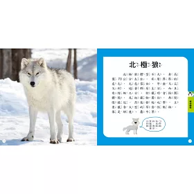 博客來 Steam圖鑑小百科 動物