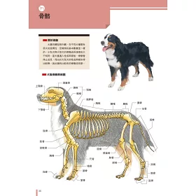 博客來 犬學大百科 圖解完整版 一看就懂 終身受用的狗狗基礎科學 二版