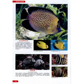 博客來 世界海水魚圖鑒 600種海水魚飼養與鑒賞圖典