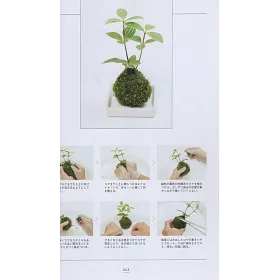博客來 小巧玻璃容器栽種苔蘚盆栽實例手冊