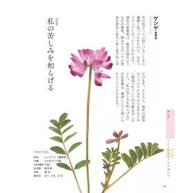 博客來 各式花語圖鑑解析手冊 野花 路旁的花編