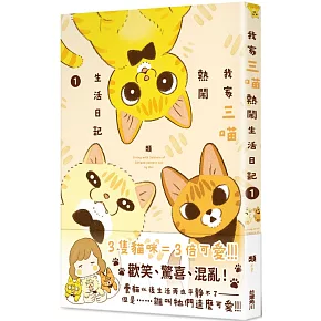 我家三喵熱鬧生活日記１