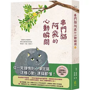 串門貓阿飛的心動瞬間