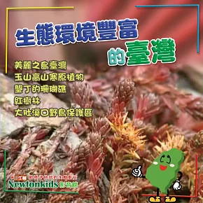 <center>75折</center>