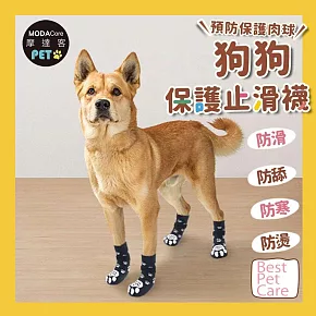 摩達客寵物-狗狗保護止滑襪 防寒防滑防舔防燙傷 可愛腳掌花紋款 三種尺寸可選 保護肉球 大狗中小型犬適用 M號