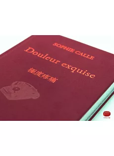 Sophie Calle《極度疼痛》