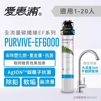 【愛惠浦公司貨】EVERPURE 強效碳纖維重裝型淨水器(PURVIVE-EF6000)