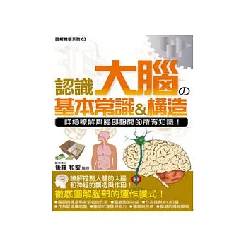 認識大腦的基本常識&構造