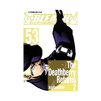 BLEACH 死神 53