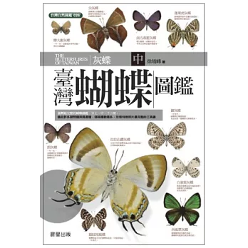 臺灣蝴蝶圖鑑（中）灰蝶