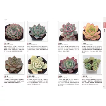 多肉植物 仙人掌圖鑑800 拾書所