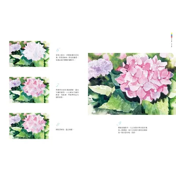 零基礎水彩畫教室2 讓草木花果丶公園森林都隨心所欲寫意入畫 拾書所