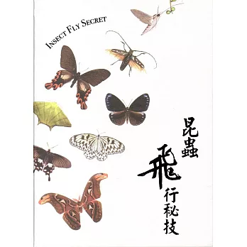 昆蟲飛行秘技﹝精裝﹞