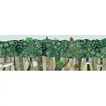 樹上的魚《Lokot 鳥巢蕨》(英文)