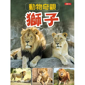 動物奇觀 : 獅子