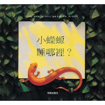 小蠑螈,睡哪裡?