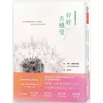 好好去感受 : 別對情緒視而不見!更有意識地理解自己的感覺, 找回內心真正的平靜